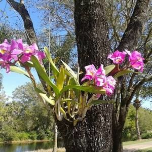 Meet your Posher, Pamela